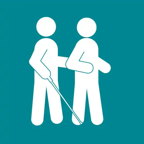 Visual Impairment Assistance