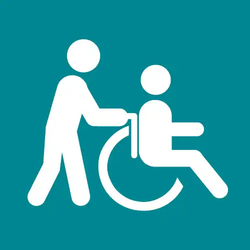 Wheelchair Accessible Assistance
