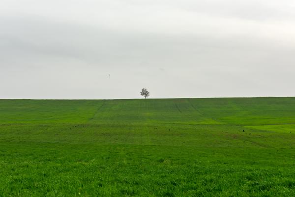 Land Agreements:  Can You Control What Someone Does On Their Own Land?