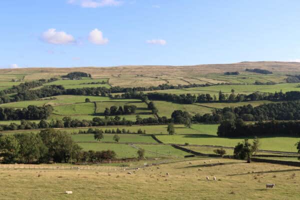 Government Consults on Electricity Network Access and Land Rights