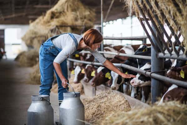 Employment Rights Bill – What It Means For The Agricultural Sector