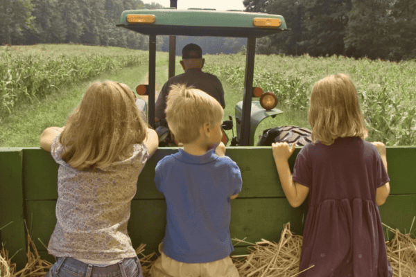 A Guide To Child Maintenance – UK Child Support Laws