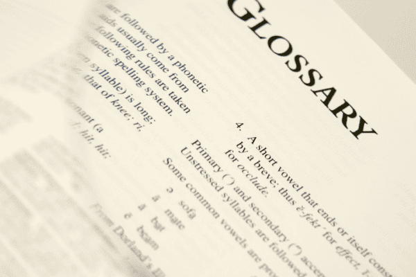 Glossary Of Terms Used In Family Law