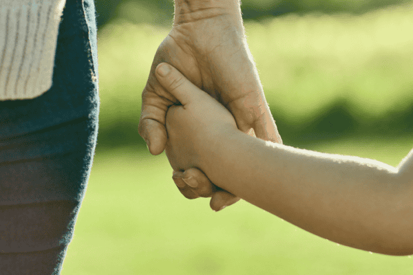 Childcare & Social Services: Useful Guides