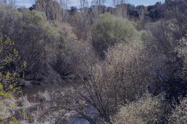 A Guide To Riparian Ownership