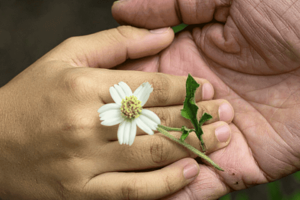 A Guide To Caring For A Loved One